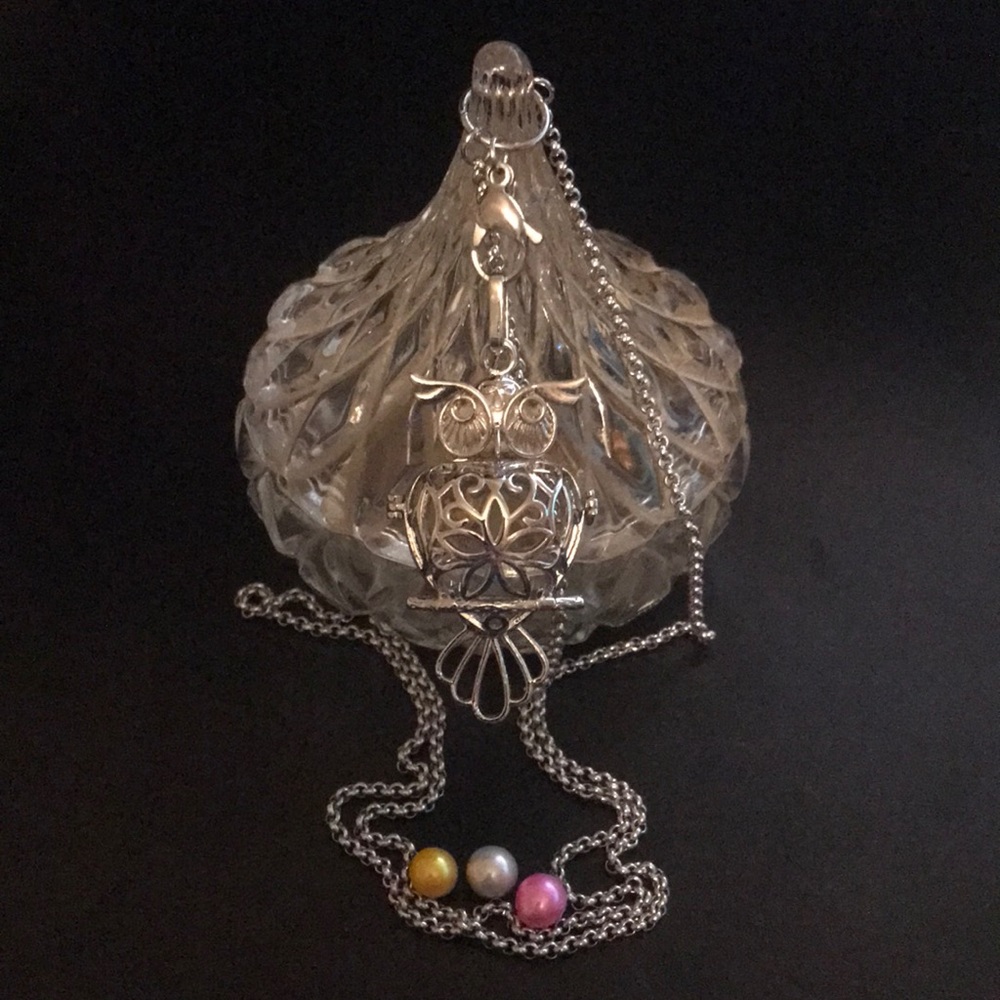 Silver Plated Owl Jewelry Cage